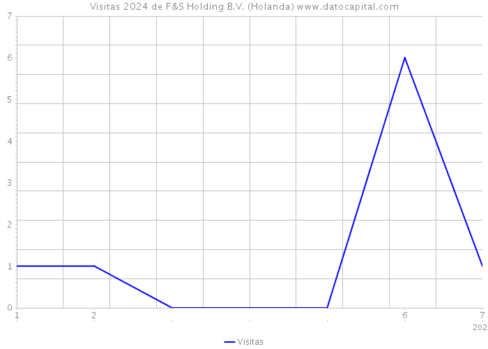 Visitas 2024 de F&S Holding B.V. (Holanda) 