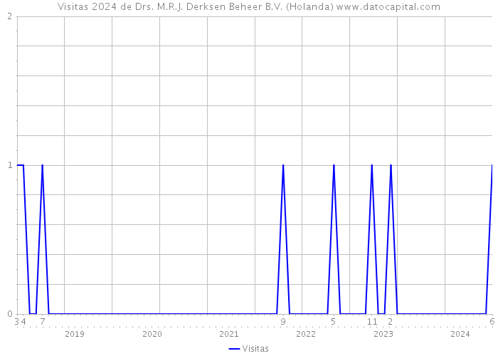 Visitas 2024 de Drs. M.R.J. Derksen Beheer B.V. (Holanda) 