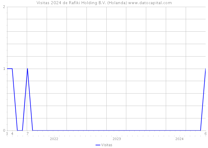 Visitas 2024 de Rafiki Holding B.V. (Holanda) 