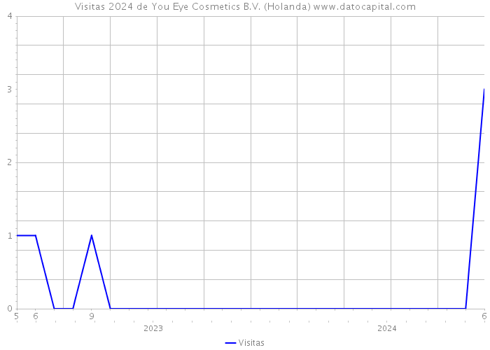 Visitas 2024 de You+Eye Cosmetics B.V. (Holanda) 