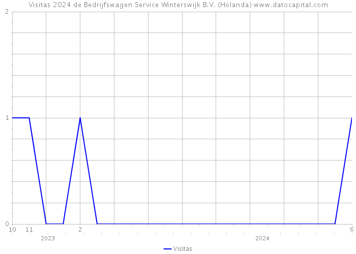 Visitas 2024 de Bedrijfswagen Service Winterswijk B.V. (Holanda) 