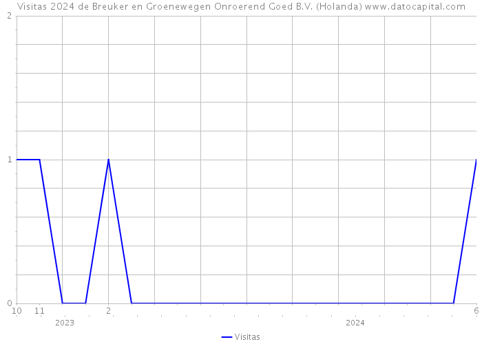 Visitas 2024 de Breuker en Groenewegen Onroerend Goed B.V. (Holanda) 