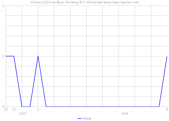 Visitas 2024 de Buur Holding B.V. (Holanda) 