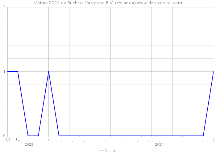 Visitas 2024 de Stichtse Vastgoed B.V. (Holanda) 