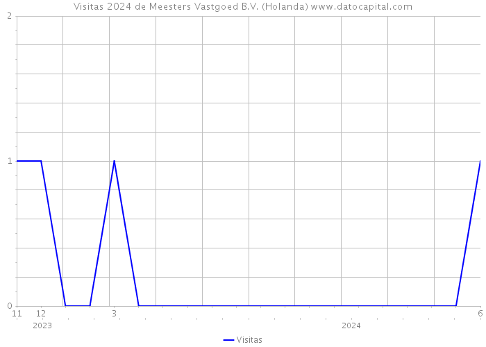 Visitas 2024 de Meesters Vastgoed B.V. (Holanda) 