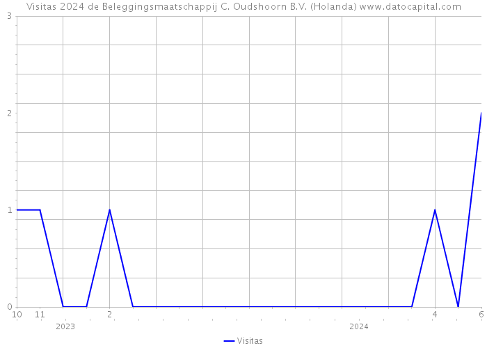 Visitas 2024 de Beleggingsmaatschappij C. Oudshoorn B.V. (Holanda) 