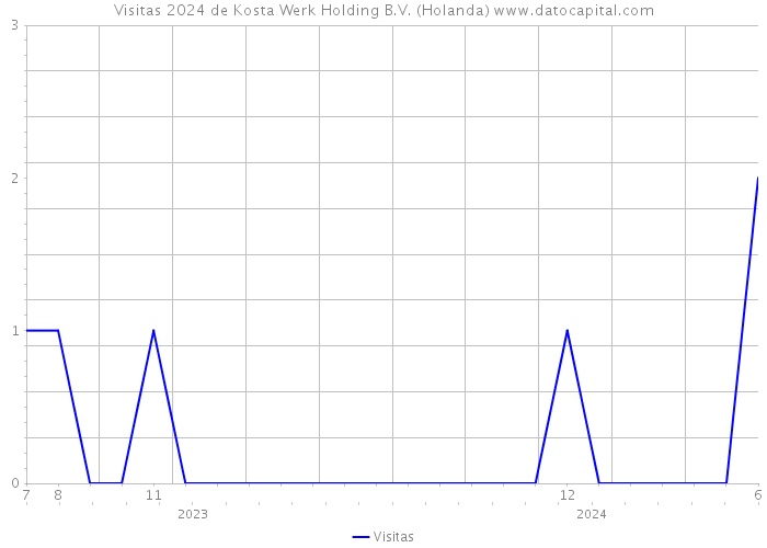 Visitas 2024 de Kosta Werk Holding B.V. (Holanda) 