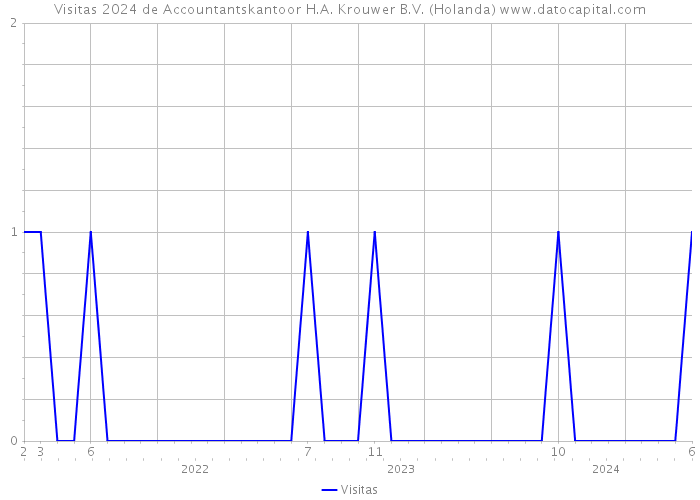 Visitas 2024 de Accountantskantoor H.A. Krouwer B.V. (Holanda) 