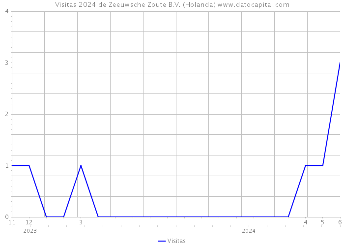 Visitas 2024 de Zeeuwsche Zoute B.V. (Holanda) 