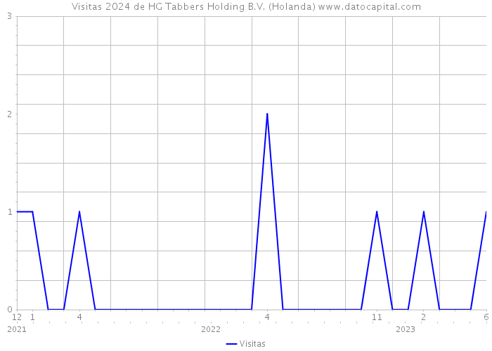 Visitas 2024 de HG Tabbers Holding B.V. (Holanda) 