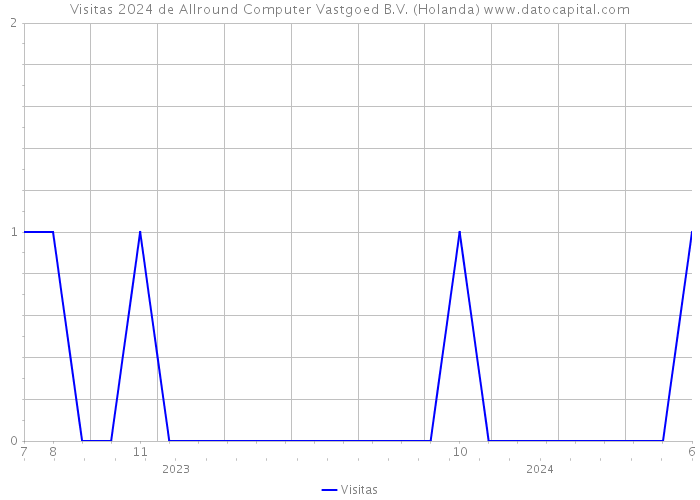 Visitas 2024 de Allround Computer Vastgoed B.V. (Holanda) 