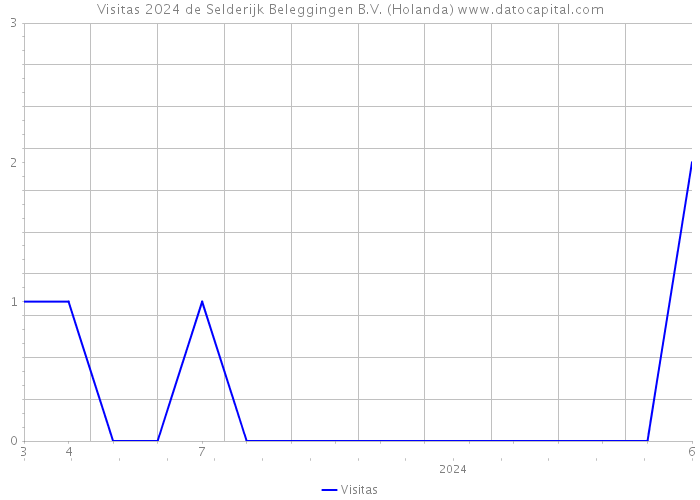 Visitas 2024 de Selderijk Beleggingen B.V. (Holanda) 