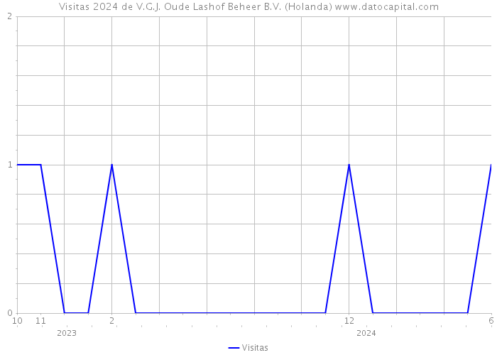 Visitas 2024 de V.G.J. Oude Lashof Beheer B.V. (Holanda) 