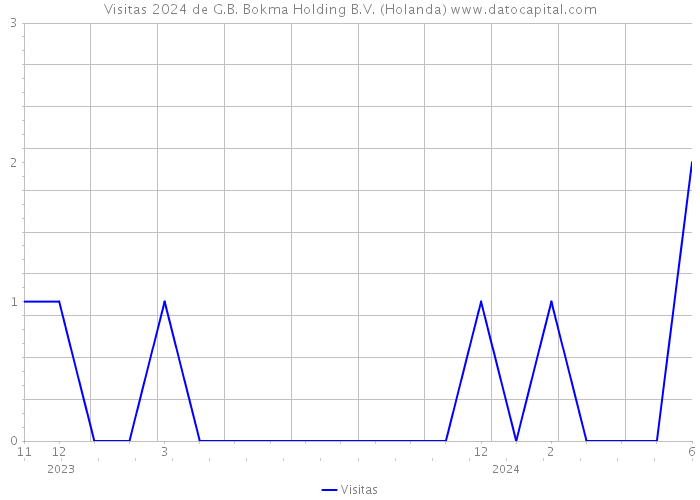 Visitas 2024 de G.B. Bokma Holding B.V. (Holanda) 