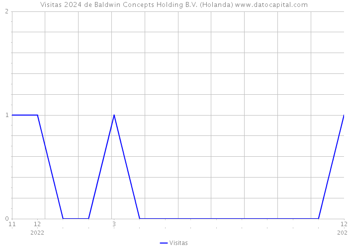 Visitas 2024 de Baldwin Concepts Holding B.V. (Holanda) 