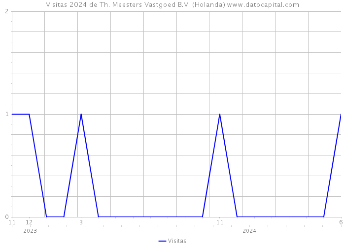 Visitas 2024 de Th. Meesters Vastgoed B.V. (Holanda) 