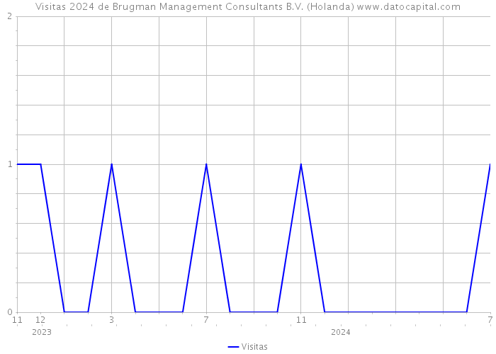 Visitas 2024 de Brugman Management Consultants B.V. (Holanda) 