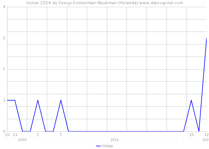 Visitas 2024 de Geesje Konterman-Beukman (Holanda) 