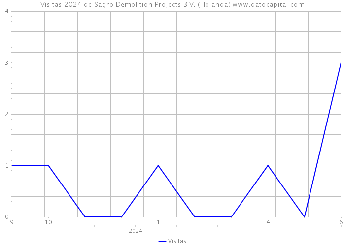 Visitas 2024 de Sagro Demolition Projects B.V. (Holanda) 