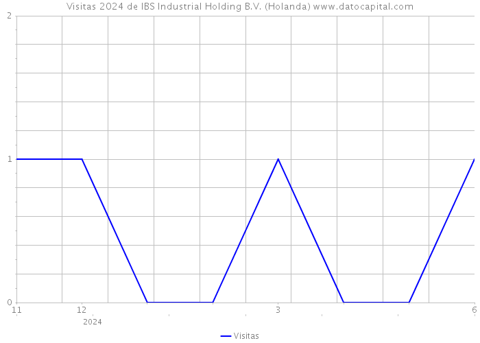 Visitas 2024 de IBS Industrial Holding B.V. (Holanda) 