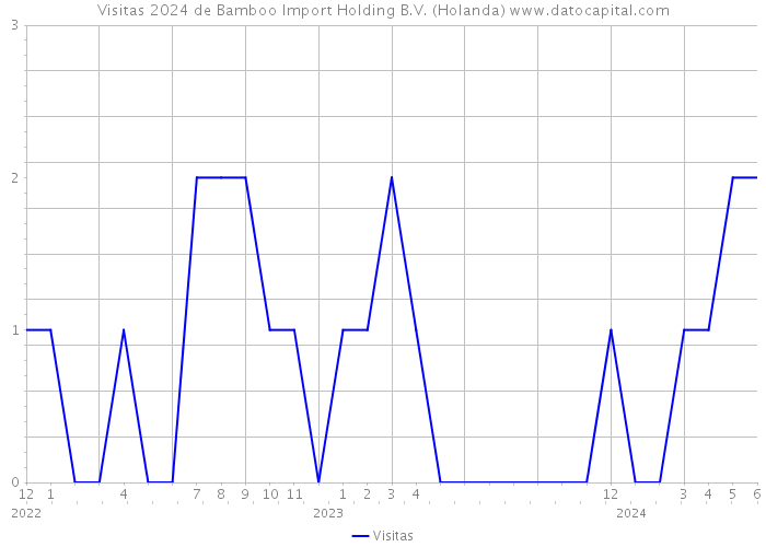 Visitas 2024 de Bamboo Import Holding B.V. (Holanda) 