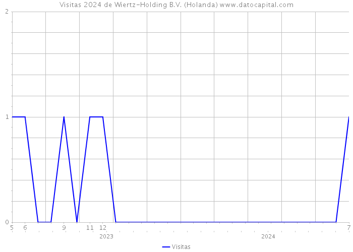 Visitas 2024 de Wiertz-Holding B.V. (Holanda) 