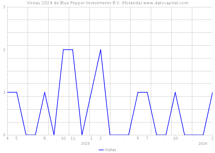 Visitas 2024 de Blue Pepper Investments B.V. (Holanda) 