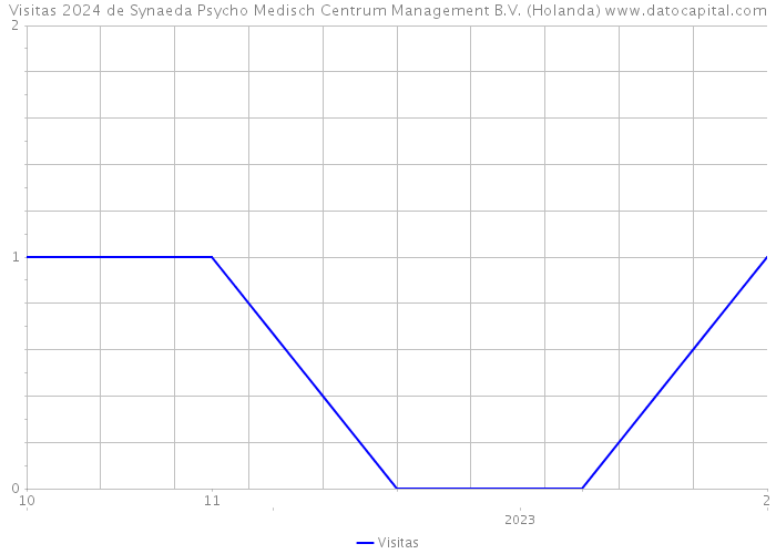 Visitas 2024 de Synaeda Psycho Medisch Centrum Management B.V. (Holanda) 