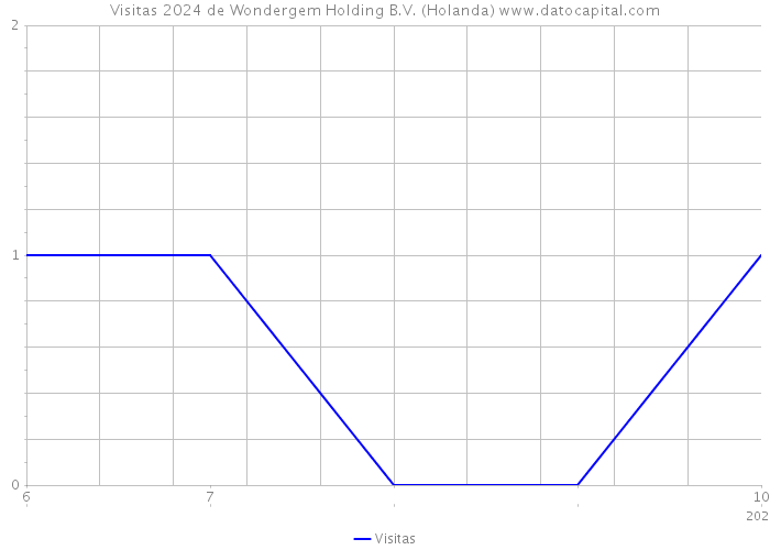 Visitas 2024 de Wondergem Holding B.V. (Holanda) 