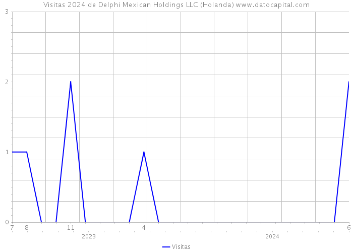 Visitas 2024 de Delphi Mexican Holdings LLC (Holanda) 