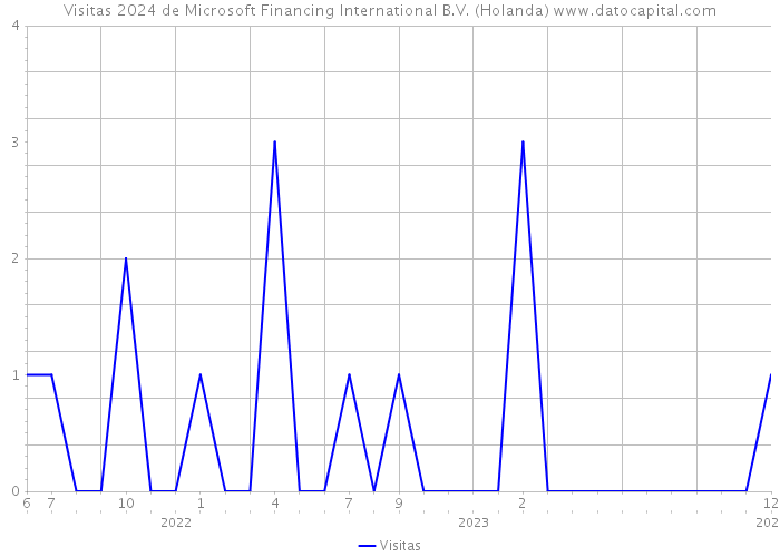 Visitas 2024 de Microsoft Financing International B.V. (Holanda) 