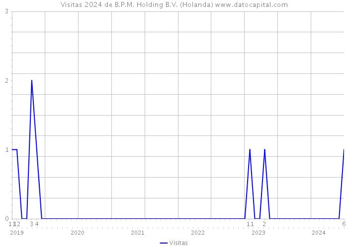 Visitas 2024 de B.P.M. Holding B.V. (Holanda) 