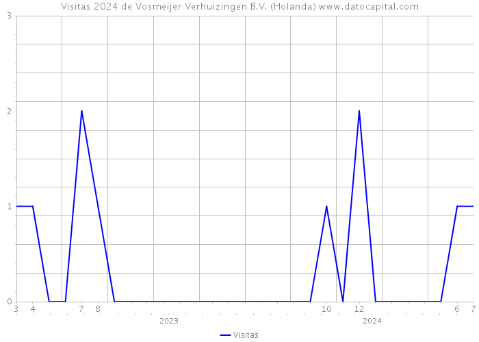 Visitas 2024 de Vosmeijer Verhuizingen B.V. (Holanda) 
