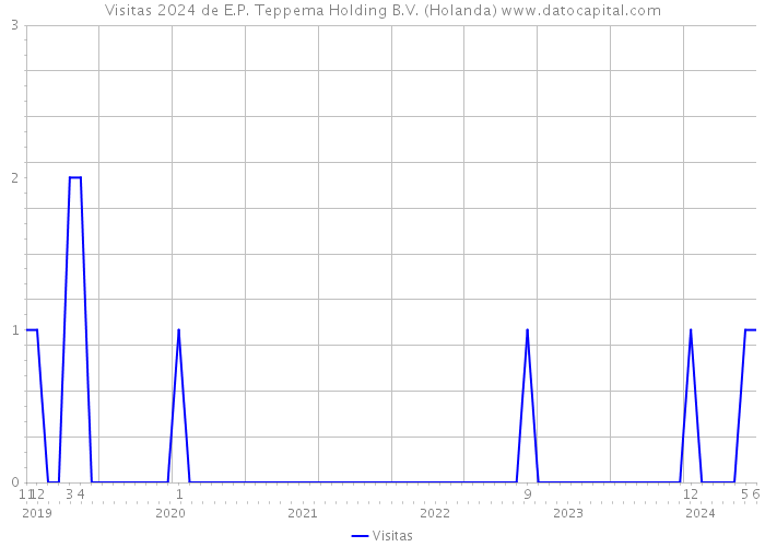 Visitas 2024 de E.P. Teppema Holding B.V. (Holanda) 