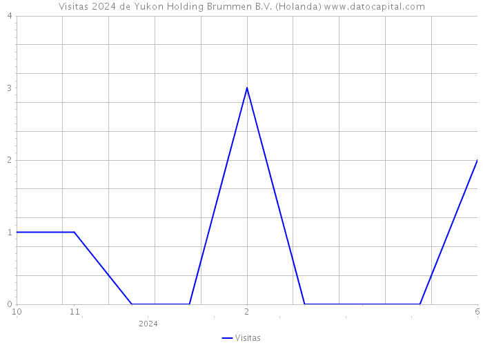 Visitas 2024 de Yukon Holding Brummen B.V. (Holanda) 