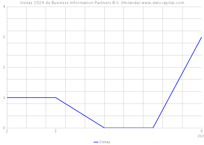 Visitas 2024 de Business Information Partners B.V. (Holanda) 