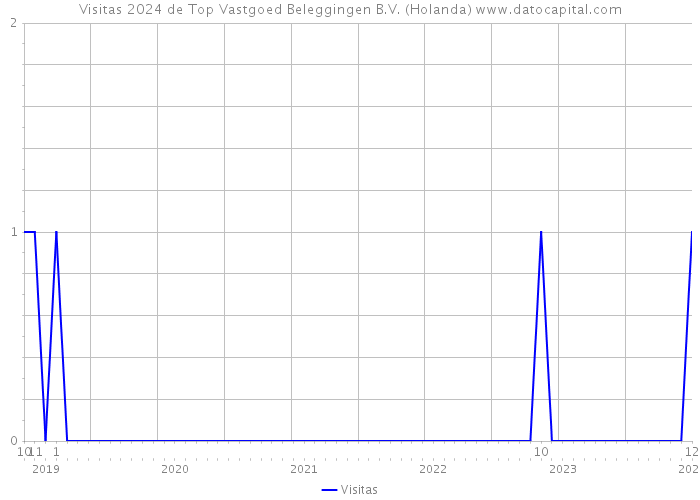 Visitas 2024 de Top Vastgoed Beleggingen B.V. (Holanda) 