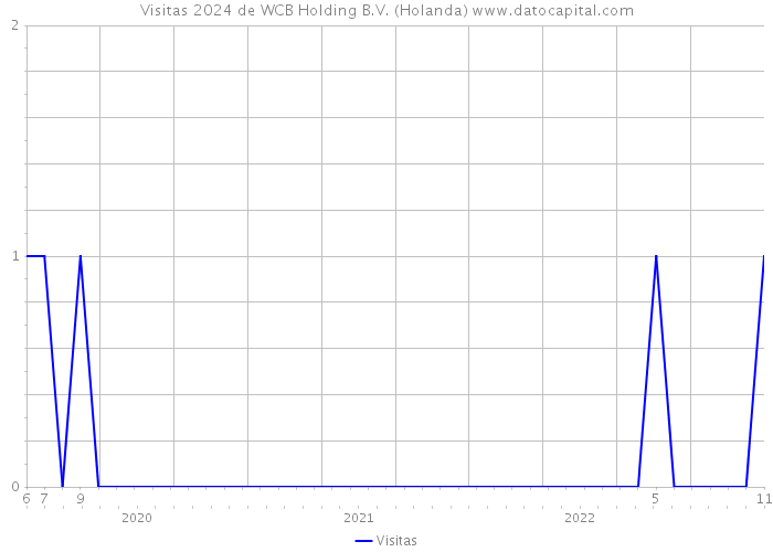 Visitas 2024 de WCB Holding B.V. (Holanda) 