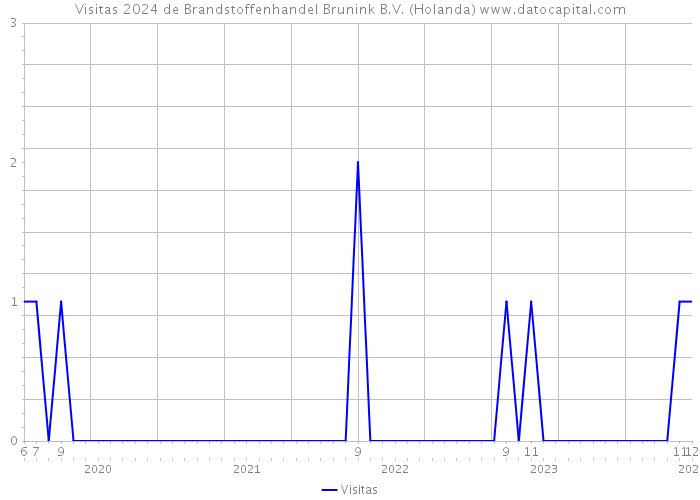 Visitas 2024 de Brandstoffenhandel Brunink B.V. (Holanda) 