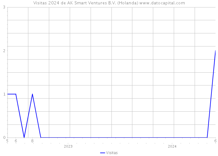 Visitas 2024 de AK Smart Ventures B.V. (Holanda) 