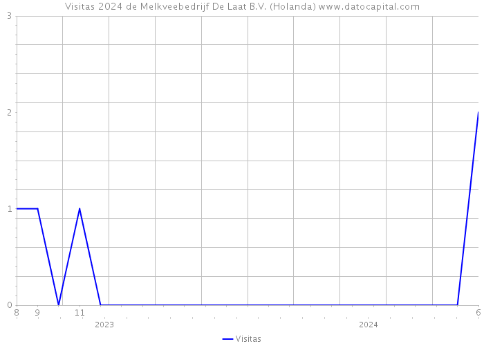 Visitas 2024 de Melkveebedrijf De Laat B.V. (Holanda) 