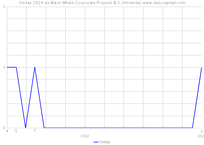 Visitas 2024 de Black Whale Corporate Projects B.V. (Holanda) 
