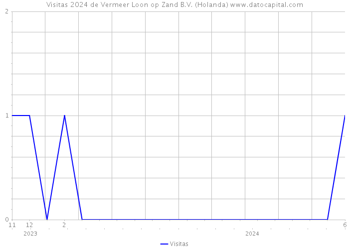 Visitas 2024 de Vermeer Loon op Zand B.V. (Holanda) 