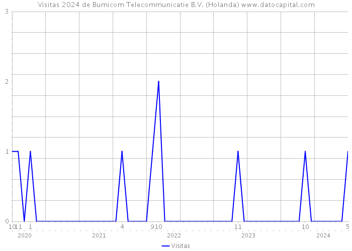 Visitas 2024 de Bumicom Telecommunicatie B.V. (Holanda) 