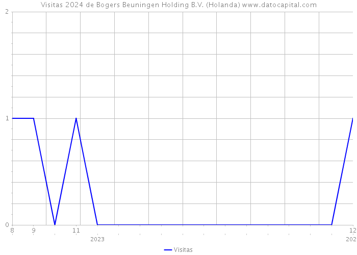 Visitas 2024 de Bogers Beuningen Holding B.V. (Holanda) 
