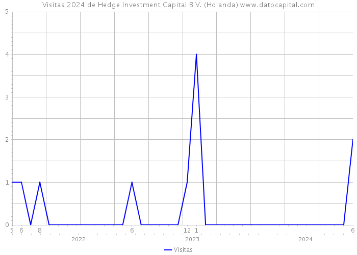 Visitas 2024 de Hedge Investment Capital B.V. (Holanda) 