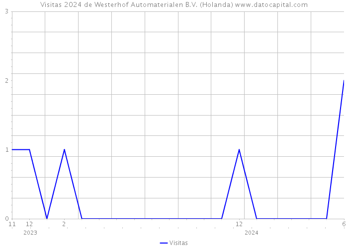 Visitas 2024 de Westerhof Automaterialen B.V. (Holanda) 