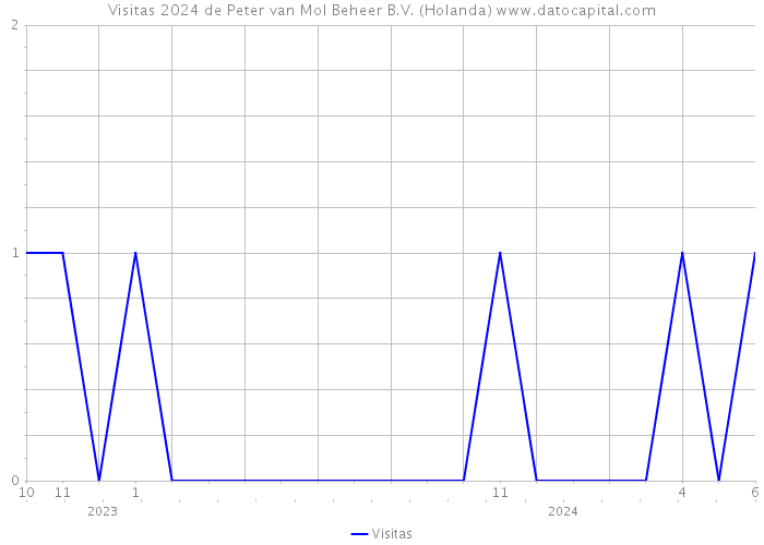 Visitas 2024 de Peter van Mol Beheer B.V. (Holanda) 