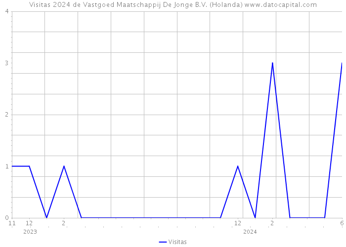 Visitas 2024 de Vastgoed Maatschappij De Jonge B.V. (Holanda) 