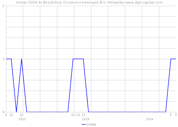 Visitas 2024 de BossSchop Groenvoorzieningen B.V. (Holanda) 